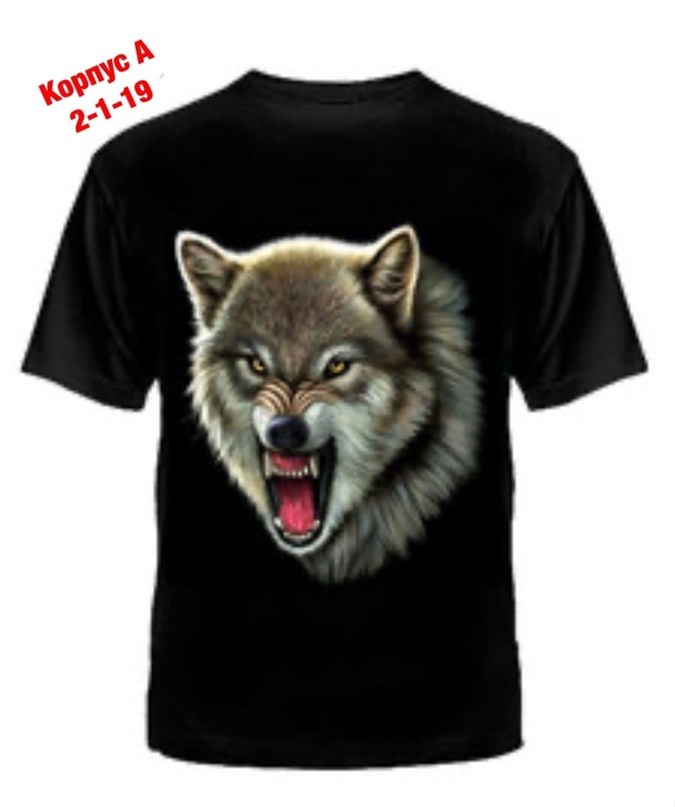 надписи на футболках для дальнобойщиков,футболки для мужчин,футболка с принтом,футболки,футболки для дальнобойщиков с логотипом