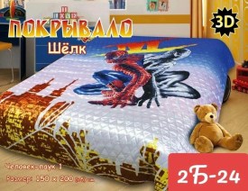 Одежда