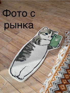 Одежда