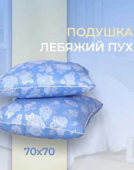 Одежда