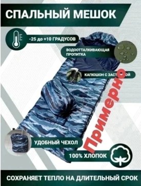 Одежда