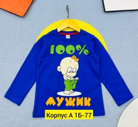 Толстовка