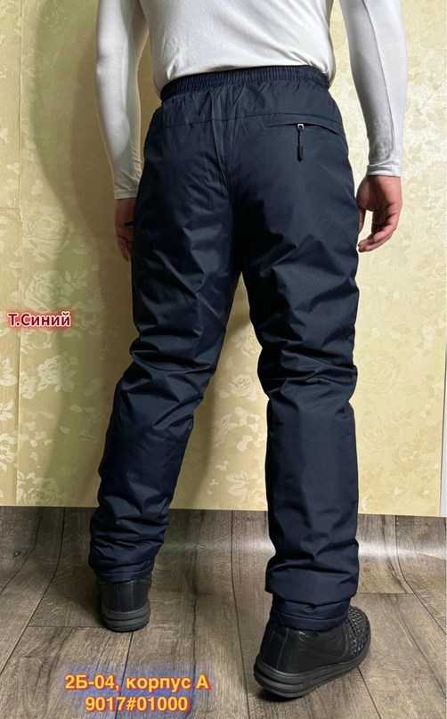 мужские спортивные брюки,спортивные брюки плащевка мужские,брюки мужские зимние,брюки мужские зимние утепленные,штаны найк мужские плащевка