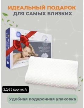 Одежда