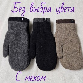 Одежда