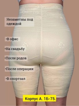 Одежда