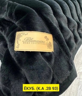 Одежда