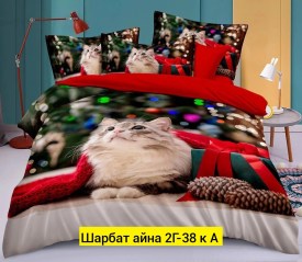 Одежда
