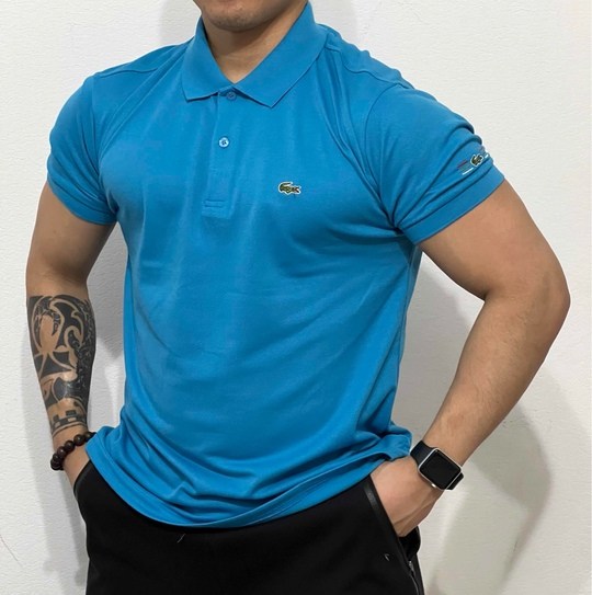 мужская футболка поло,поло lacoste мужское,поло lacoste голубое,голубое поло лакост,лакост polo