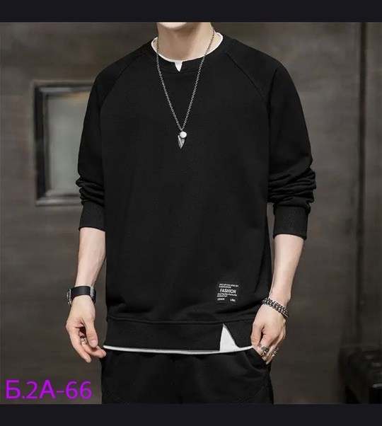 повседневный свитшот,мужская толстовка,мужские свитшоты,свитшот,свитшот мужская