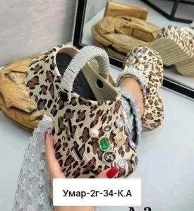 Одежда