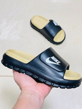 Сланцы