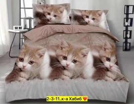 Одежда