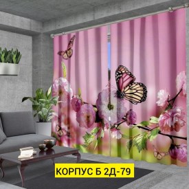 Одежда