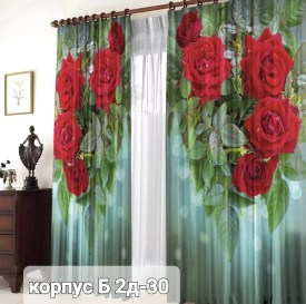 Одежда
