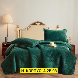 Одежда