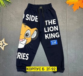 Брюки