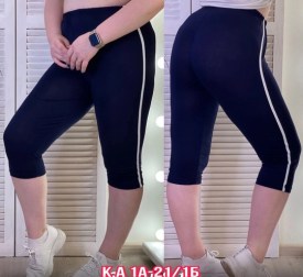 Бриджи