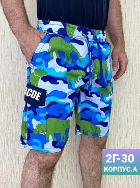 Шорты
