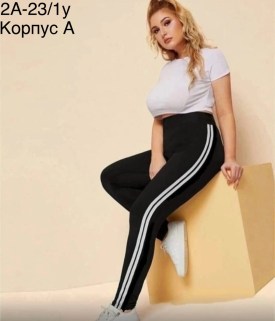 Лосины