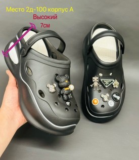 Одежда
