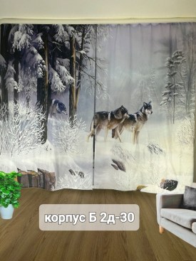 Одежда