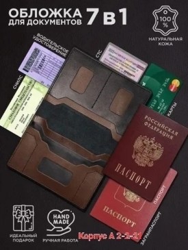 Одежда
