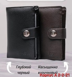 Одежда