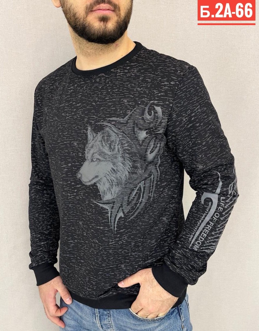 свитшот мужской белый,свитшот мужская,белая кофта мужская,кофта для мужчин,толстовки свитшот