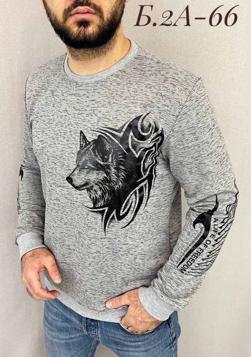 свитшот мужской белый,свитшот мужская,белая кофта мужская,кофта для мужчин,толстовки свитшот