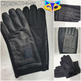 Одежда
