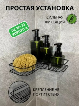 Одежда