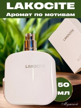 Одежда