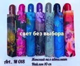 Одежда
