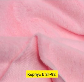 Одежда