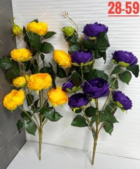 Одежда