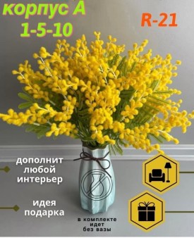 Одежда