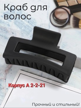 Одежда