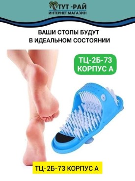 Одежда