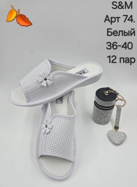 Сланцы