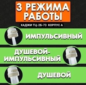 Одежда