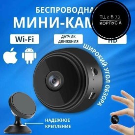 Одежда