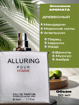 Одежда