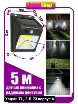 Одежда
