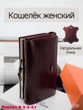 Одежда