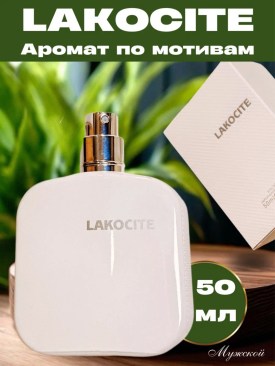 Одежда