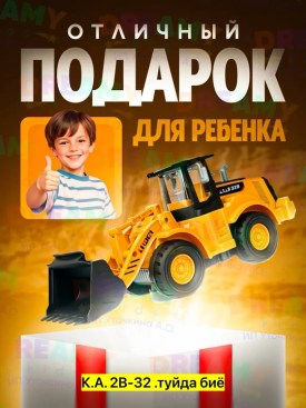 Одежда