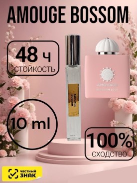 Одежда