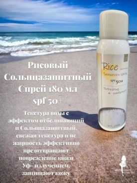 Одежда