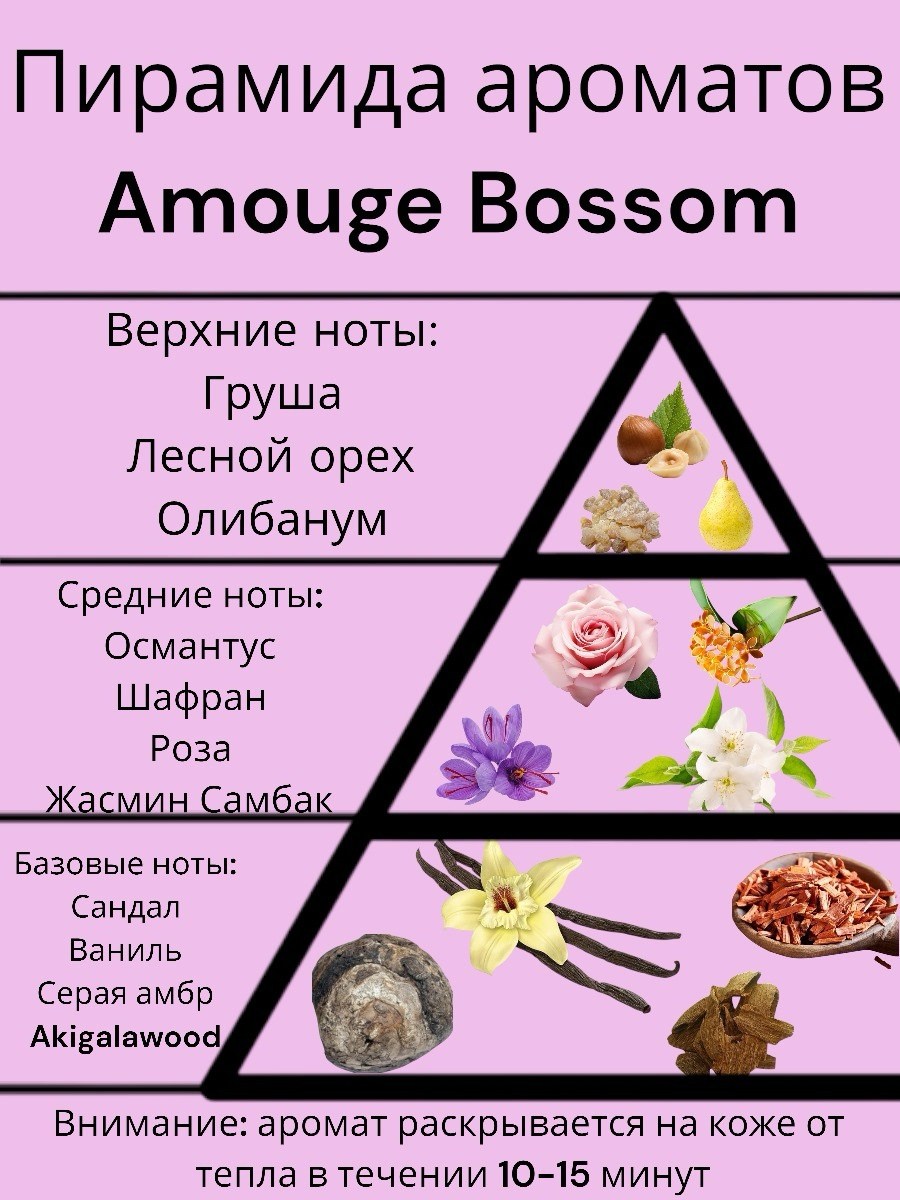 пирамида аромата,пирамида ароматов в парфюмерии,базовые ноты в парфюмерии,базовые ноты ароматов,верхние ноты в парфюмерии